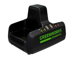 Зарядное устройство Greenworks G82C2 2939007