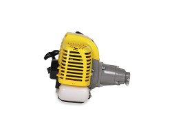 Двигатель двухтактный Champion G026HTF-II-foto5