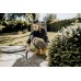 Хозяйственный пылесос WD 6 P V-25/8/22/T Karcher