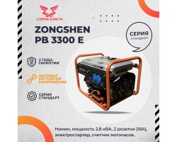 Бензиновый генератор Zongshen PB 3300 E-foto4