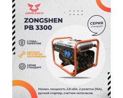 Бензиновый генератор Zongshen PB 3300-foto4