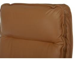 Кресло руководителя Бюрократ T-9927WALNUT горчичный кожа крестовина металл/дерево-foto7